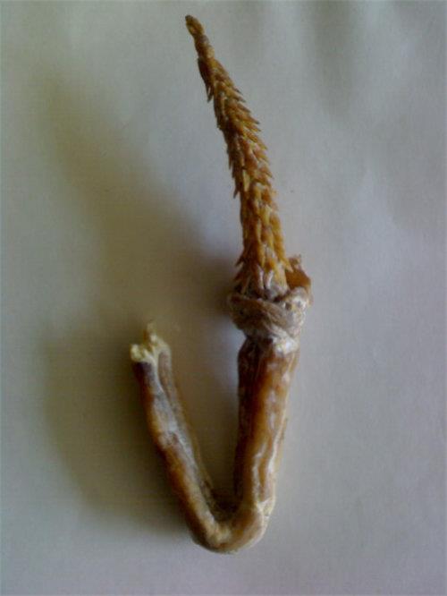 青岛虎鞭收购_价格_现金交易