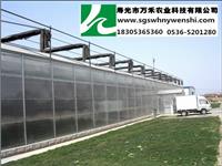 智能温室建设-pc板文洛连栋温室