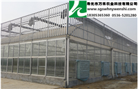 智能温室-玻璃文洛连栋温室