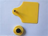 畜牧业电子耳标  低频134.2K动物标签