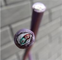 Profibus DP 软电缆 6XV1830-3FH10价格厂家报价