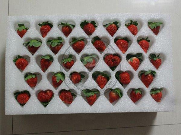厂家直销珍珠棉草莓内托包装