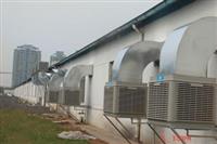 天津冷风机批发价格