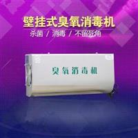 供应车间壁挂式10g臭氧消毒机价格
