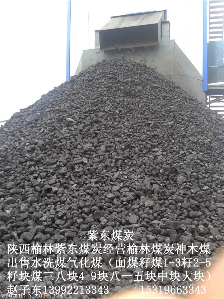 出售陕西烤烟烤茶用煤销售神木烤烟烤茶专用中大块出售