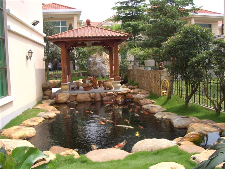 福建园林驳岸石鱼池假山石黄腊石假山石园林石