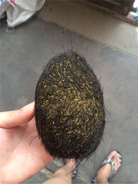 首页 江苏省古董古玩收购有限公司 最新供应 猪宝2016