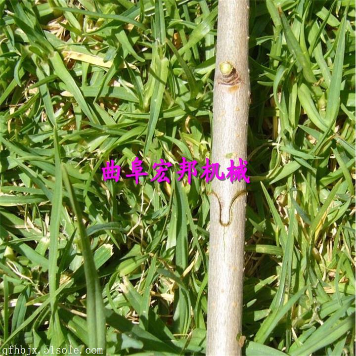 多功能小型手动嫁接机 果树专用嫁接机